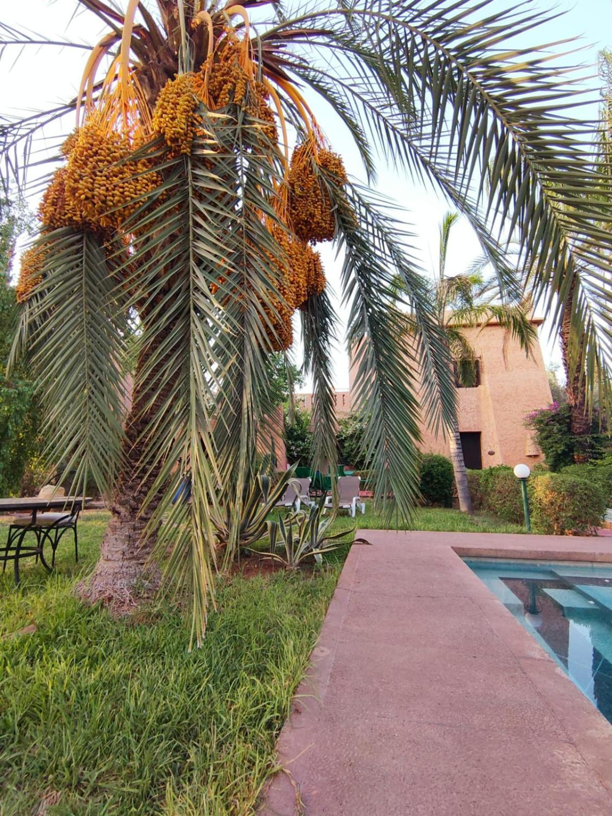 Riad Sheherazade Marrakech Μαρακές Εξωτερικό φωτογραφία