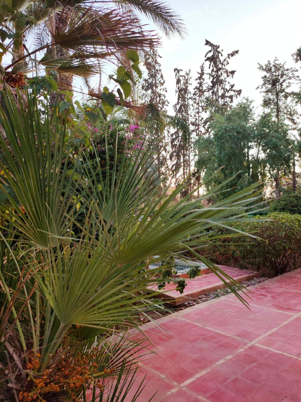 Riad Sheherazade Marrakech Μαρακές Εξωτερικό φωτογραφία