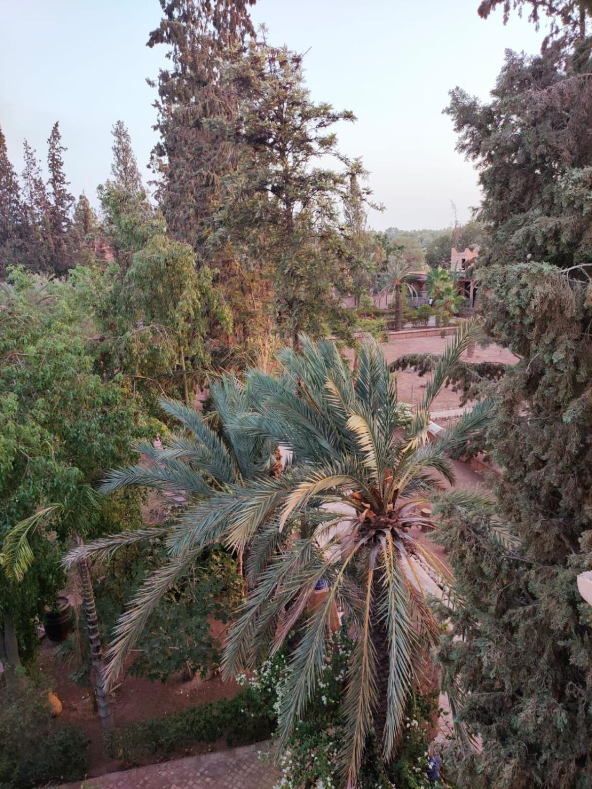 Riad Sheherazade Marrakech Μαρακές Εξωτερικό φωτογραφία