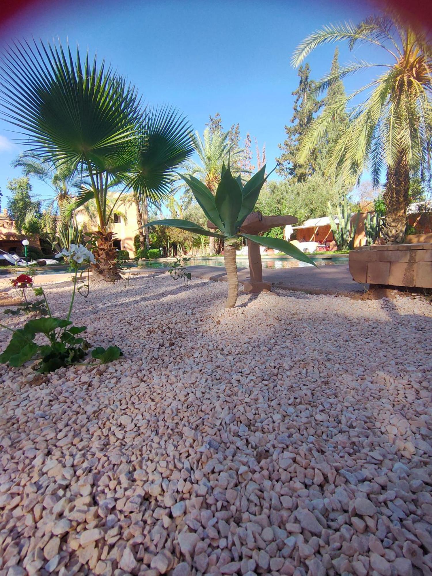 Riad Sheherazade Marrakech Μαρακές Δωμάτιο φωτογραφία